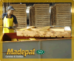 Madepal: Wood Immunization